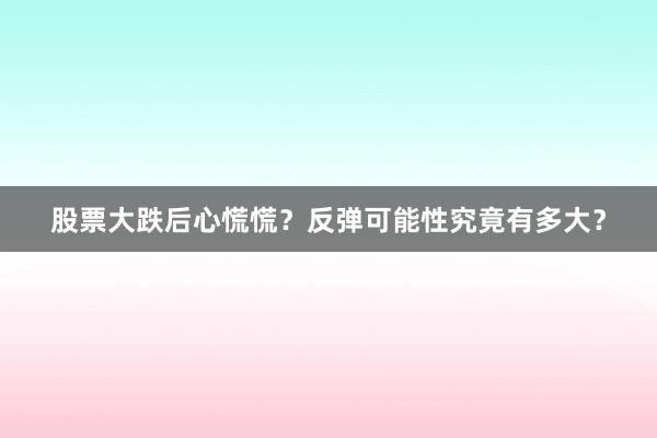 股票大跌后心慌慌？反弹可能性究竟有多大？