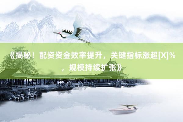 《揭秘！配资资金效率提升，关键指标涨超[X]%，规模持续扩张》