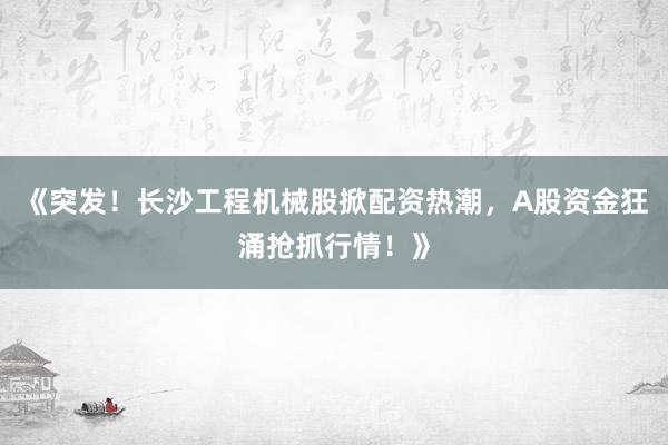 《突发！长沙工程机械股掀配资热潮，A股资金狂涌抢抓行情！》
