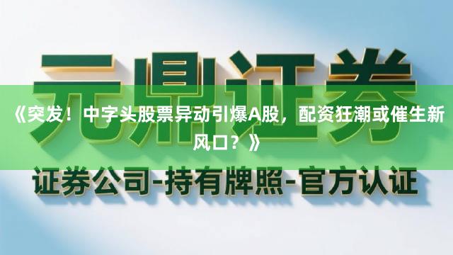 《突发！中字头股票异动引爆A股，配资狂潮或催生新风口？》