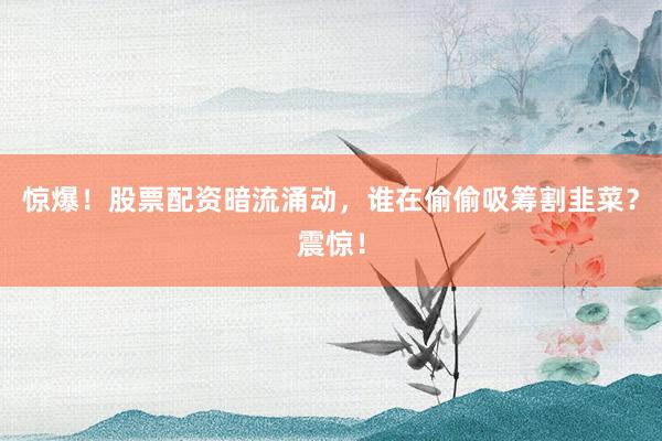 惊爆！股票配资暗流涌动，谁在偷偷吸筹割韭菜？震惊！