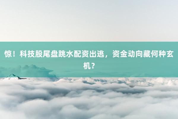 惊！科技股尾盘跳水配资出逃，资金动向藏何种玄机？