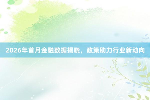 2026年首月金融数据揭晓，政策助力行业新动向