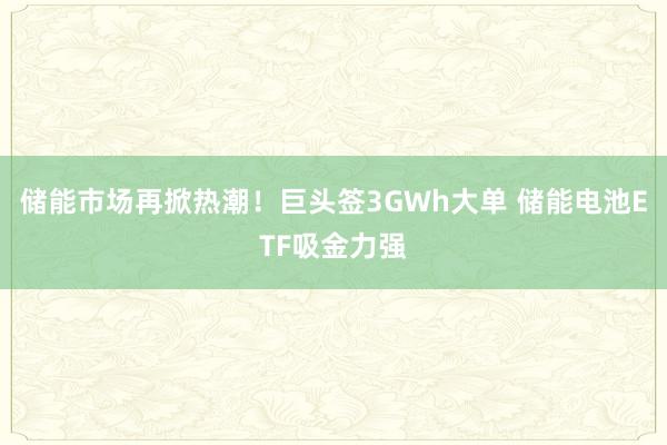 储能市场再掀热潮！巨头签3GWh大单 储能电池ETF吸金力强