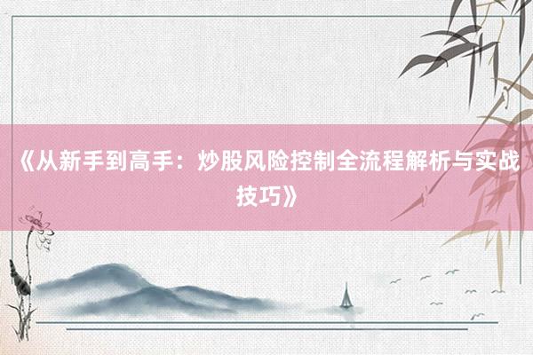 《从新手到高手：炒股风险控制全流程解析与实战技巧》