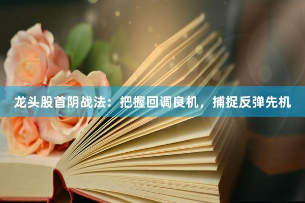 龙头股首阴战法：把握回调良机，捕捉反弹先机