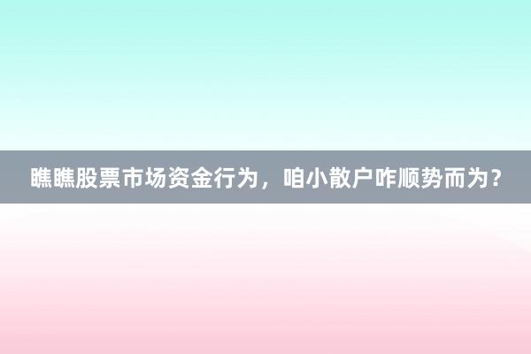瞧瞧股票市场资金行为，咱小散户咋顺势而为？