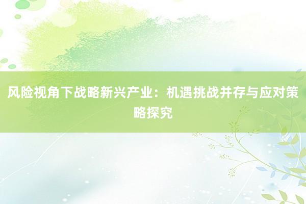 风险视角下战略新兴产业：机遇挑战并存与应对策略探究